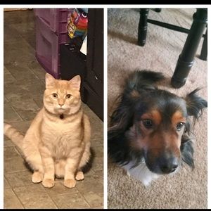 Meet your Posher, Avery